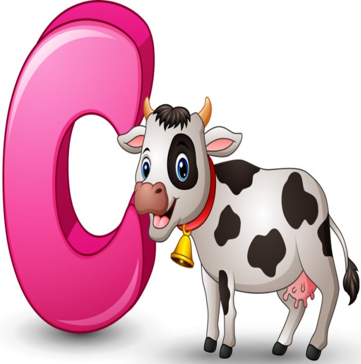 Letter c is for cow cartoon alphabet Royalty Free Vector